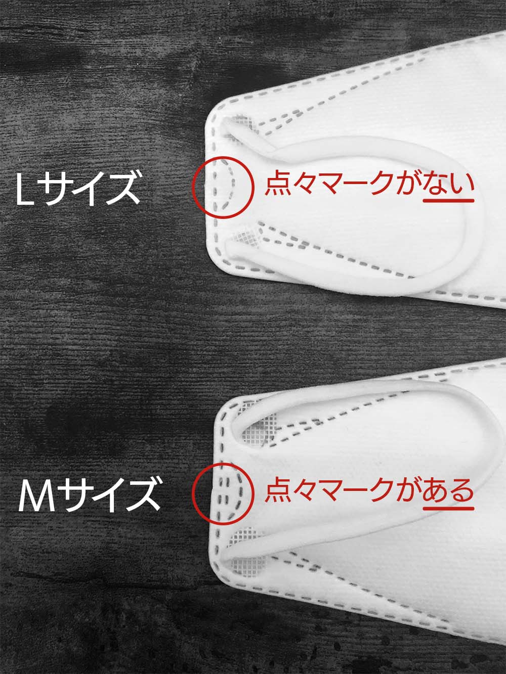 Lサイズ、Mサイズの見分け方図v2