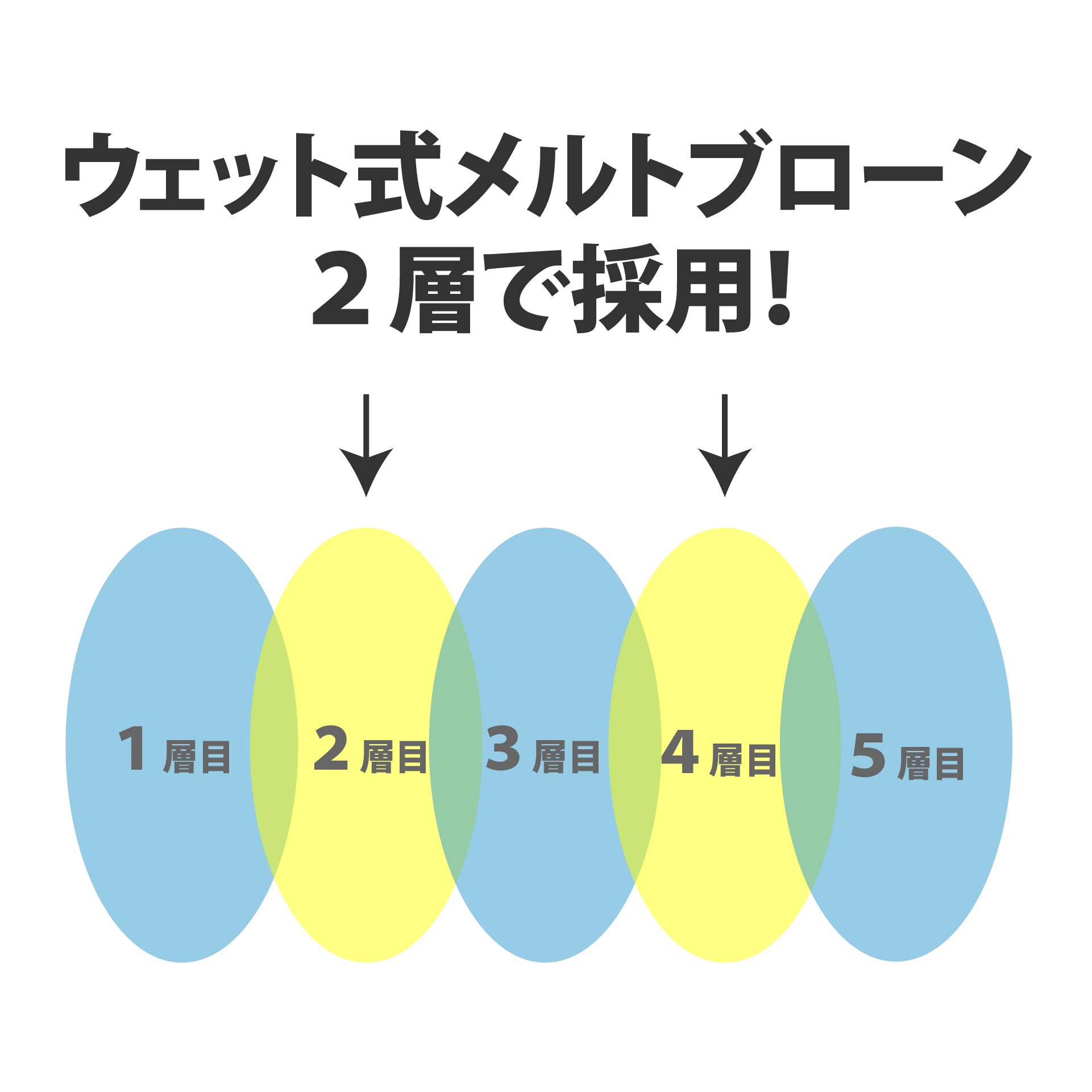 パイオニアマスク - 株式会社パイオニア・システム